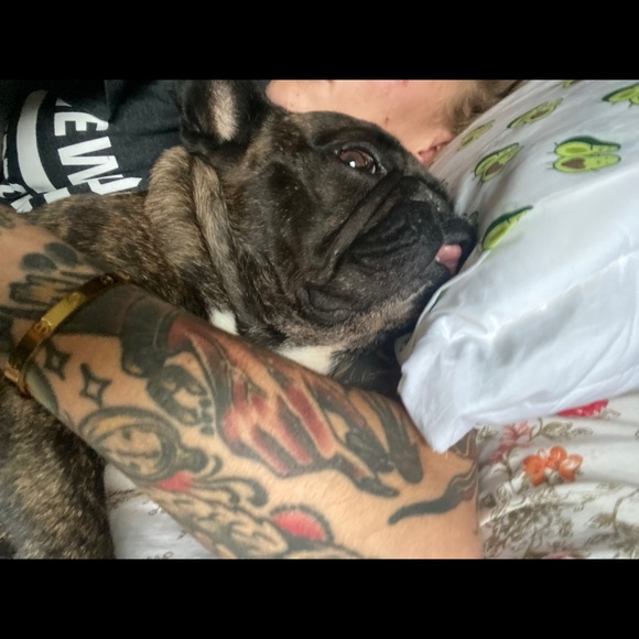 Meet your Posher, Megan - Picture 4 of 5